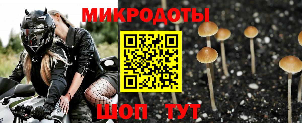 Кизляр  Галлюциногенные грибы Psilocybe  продажа наркотиков  Вход с VPN 
